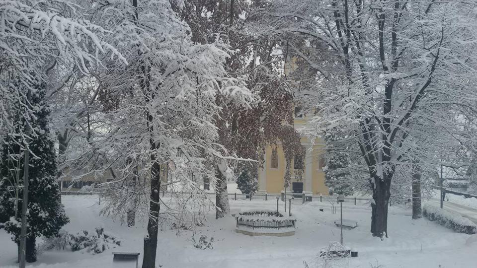 Kod Ribica Bed and Breakfast Jasenovac Εξωτερικό φωτογραφία